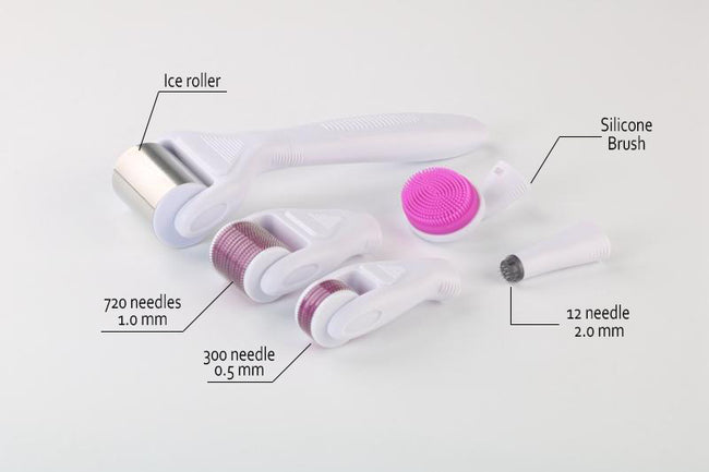 DRS® 6 In 1 ICE Microneedle Derma Roller Kit (2 Rollers + Stamp + Ice Roller + Extras)