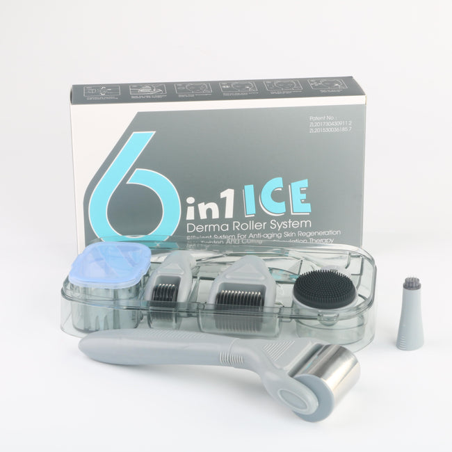 DRS® 6 In 1 ICE Microneedle Derma Roller Kit (2 Rollers + Stamp + Ice Roller + Extras)