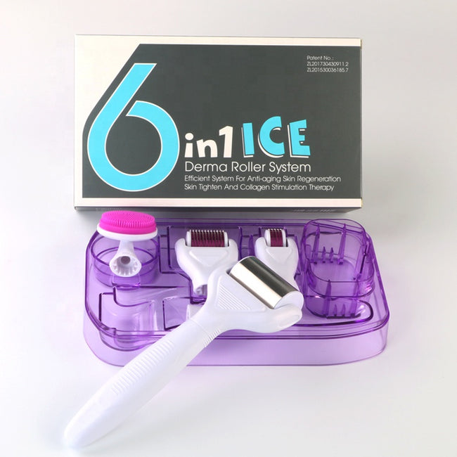 DRS® 6 In 1 ICE Microneedle Derma Roller Kit (2 Rollers + Stamp + Ice Roller + Extras)